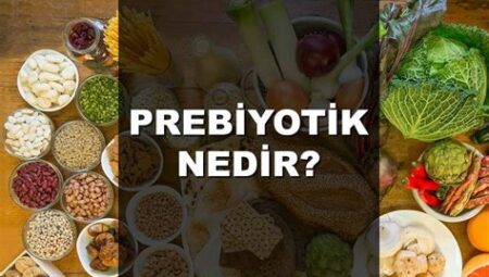 Prebiyotik Besinler ve Faydaları